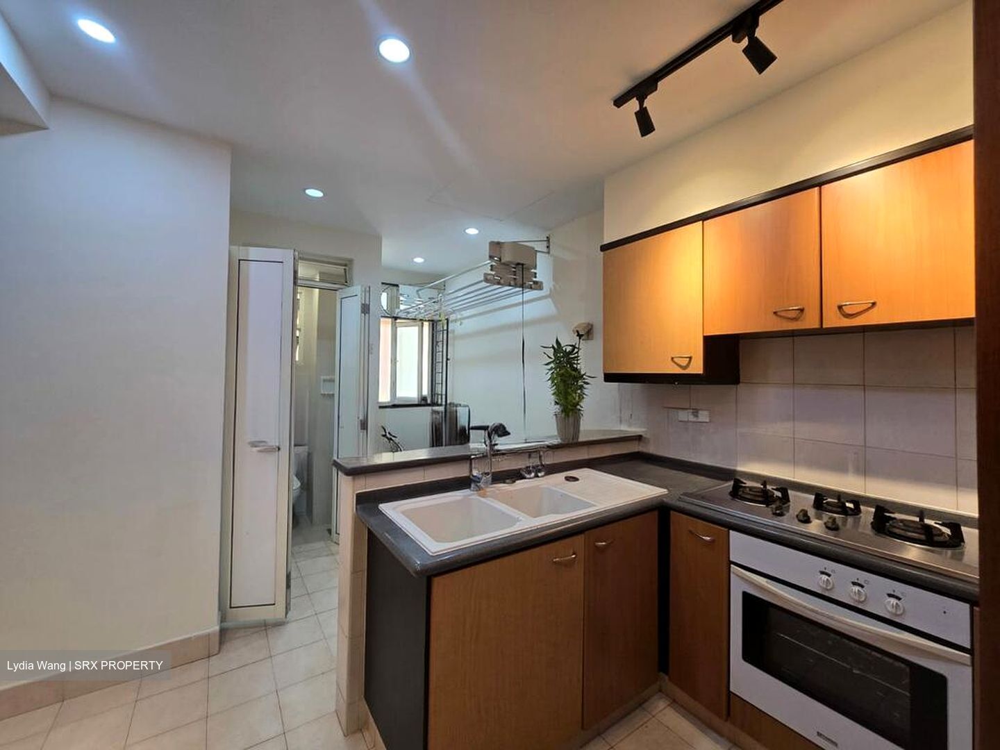 Moonstone View (D12), Apartment #498923941